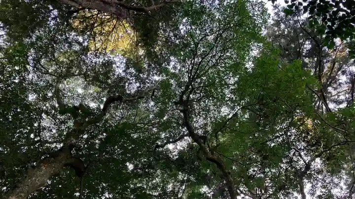 佐太神社の自然