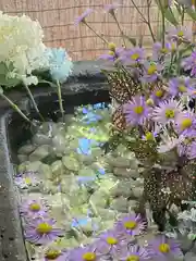 北広島市総鎮守　廣島神社の手水