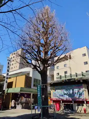 矢先稲荷神社(東京都)