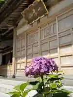 本興寺(石川県)