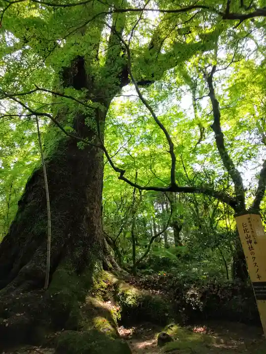 仁比山神社の自然