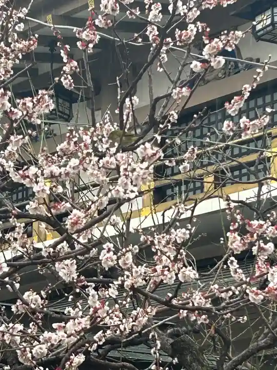湯島天満宮(東京都)