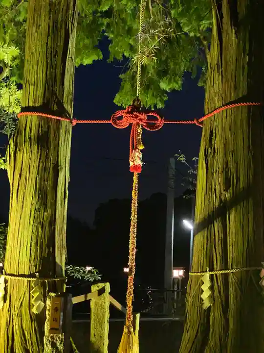 武雄神社の自然