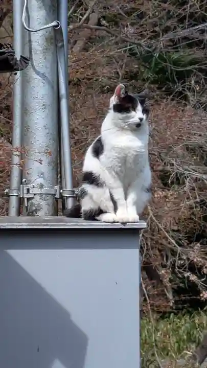 荒木神社(京都府)