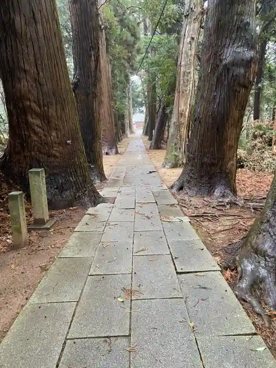 日吉神社の{uncategorized: "未分類", other: "その他", undefined: "問題あり", building: "その他建物", grave: "お墓", sacred_gate: "鳥居", guardian: "狛犬", statue: "像", buddha: "仏像", history: "歴史", nature: "自然", garden: "庭園", animal: "動物", pagoda: "塔", temizu: "手水舎", mountain_gate: "山門・神門", sanctuary: "本殿・本堂", subordinate: "末社・摂社", art: "芸術", scenery: "景色", jizo: "地蔵", ema: "絵馬", goshuin: "御朱印", omikuji: "おみくじ", items: "授与品その他", amulet: "お守り", goshuincho: "御朱印帳", eats: "食事", festival: "お祭り", votive_dance: "神楽", shichigosan: "七五三参", wedding: "結婚式", experience: "体験その他", initially: "初詣", around: "周辺", anti_infection: "感染症対策"}