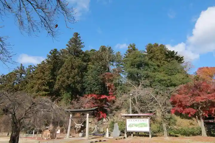 田村神社の景色