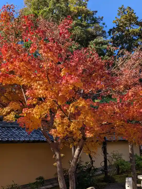 西明寺(滋賀県)