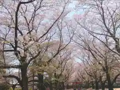 東蕗田天満社の自然