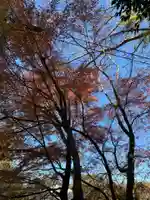 弥喜用神社の自然