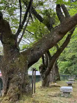 藤原町護国神社(栃木県)
