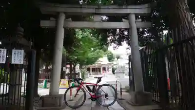 荻窪白山神社の鳥居
