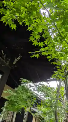 勝林寺(京都府)