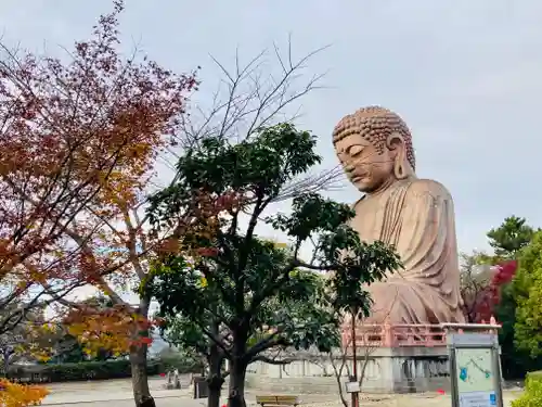 法憧山 普済寺の仏像