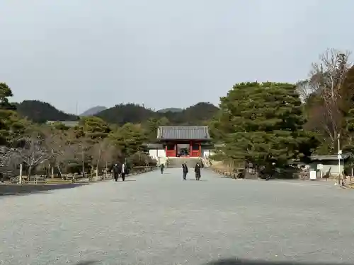 仁和寺の{uncategorized: "未分類", other: "その他", undefined: "問題あり", building: "その他建物", grave: "お墓", sacred_gate: "鳥居", guardian: "狛犬", statue: "像", buddha: "仏像", history: "歴史", nature: "自然", garden: "庭園", animal: "動物", pagoda: "塔", temizu: "手水舎", mountain_gate: "山門・神門", sanctuary: "本殿・本堂", subordinate: "末社・摂社", art: "芸術", scenery: "景色", jizo: "地蔵", ema: "絵馬", goshuin: "御朱印", omikuji: "おみくじ", items: "授与品その他", amulet: "お守り", goshuincho: "御朱印帳", eats: "食事", festival: "お祭り", votive_dance: "神楽", shichigosan: "七五三参", wedding: "結婚式", experience: "体験その他", initially: "初詣", around: "周辺", anti_infection: "感染症対策"}