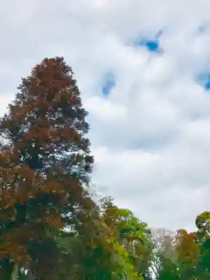 大鷲神社の自然