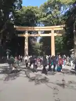 明治神宮(東京都)