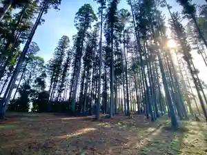 鹿嶋三嶋神社(茨城県)(2025年04月06日(日) 15時01分49秒投稿)