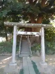 篠津久伊豆神社(埼玉県)