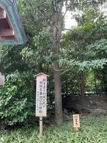 寒川神社の自然
