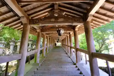 長谷寺(奈良県)