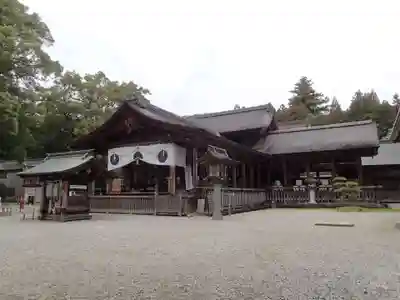 土佐神社の本殿・本堂