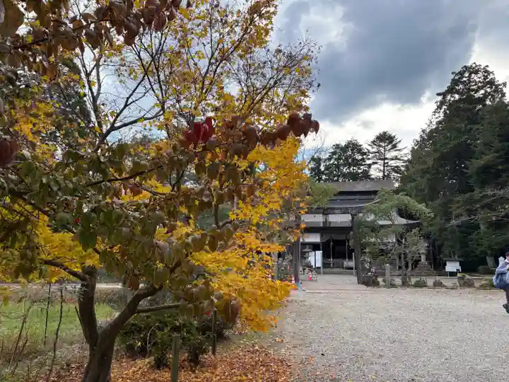 宇良神社(浦嶋神社)(京都府)