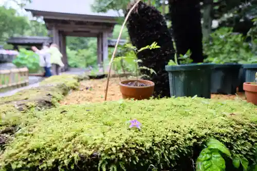 成就院の庭園