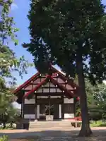 江部乙神社の本殿・本堂