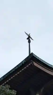 大雲院(京都府)