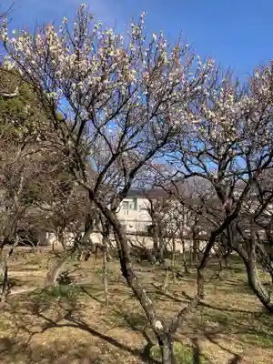 谷保天満宮(東京都)
