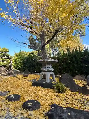 一乗院(和歌山県)