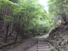 名草厳島神社の自然