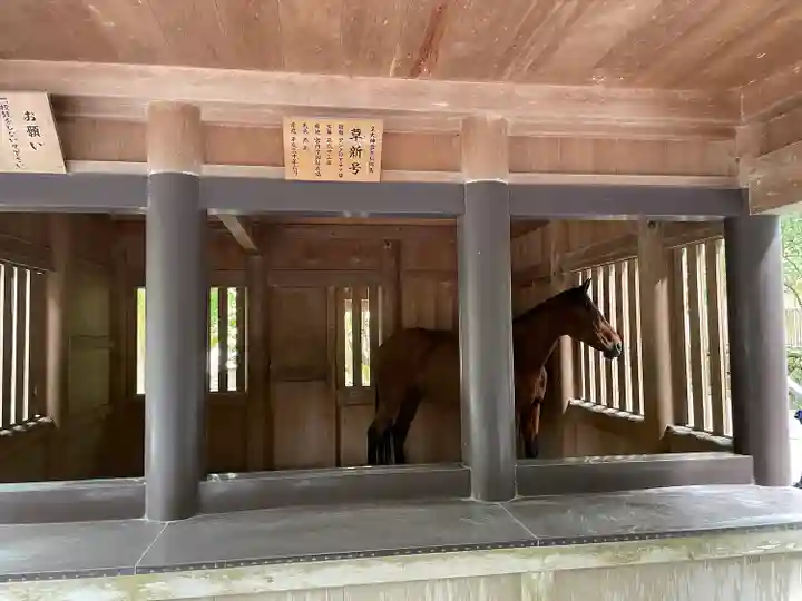 伊勢神宮内宮(皇大神宮)(三重県)