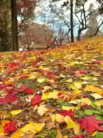 眞田神社の自然
