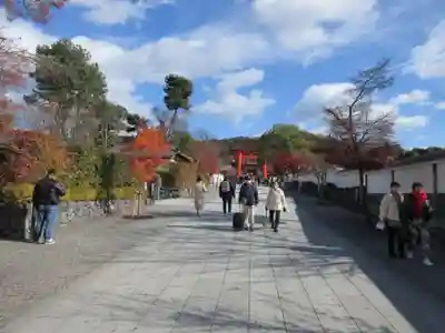 伏見稲荷大社(京都府)