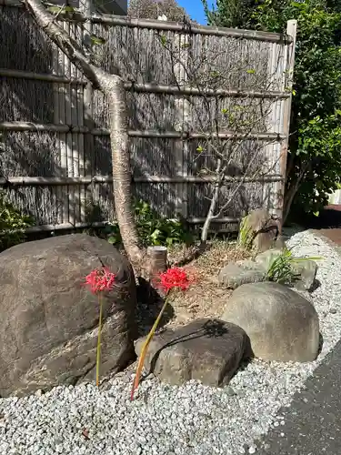 宝泉院(東京都)
