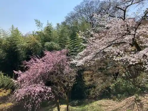 観音山慈眼院（高崎観音）(群馬県)