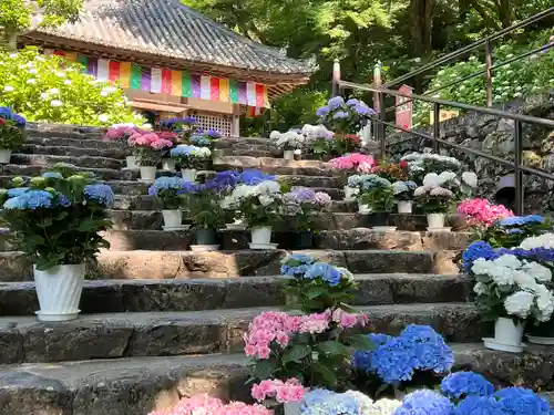 長谷寺(奈良県)