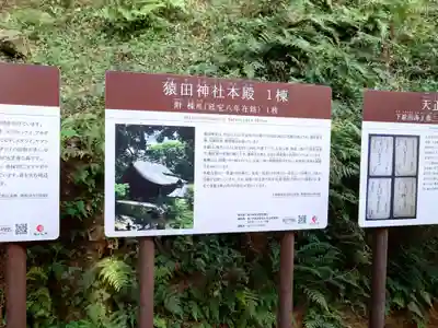 猿田神社(千葉県)