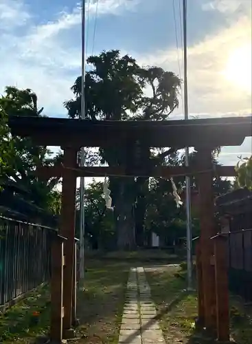 木留神社の鳥居