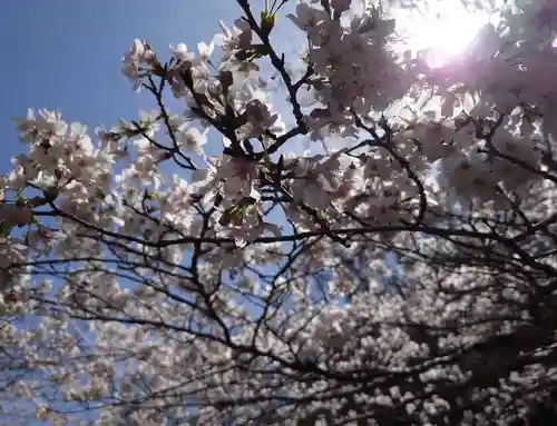 龍藏神社(神奈川県)