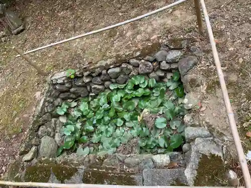 滝口神社のその他建物