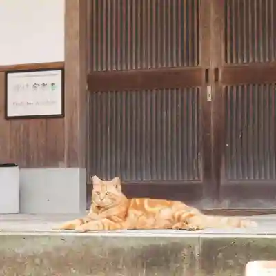 天王山 安楽寺(福井県)