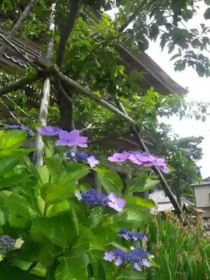 光明寺のその他建物