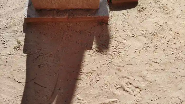 澪標住吉神社の自然