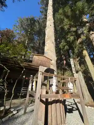 諏訪大社下社春宮(長野県)