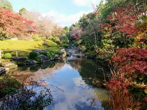 退蔵院の庭園