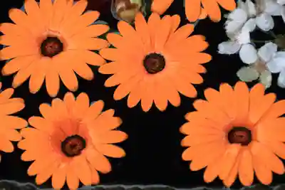 大鏑神社の手水舎