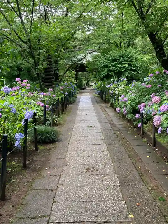 本土寺(千葉県)