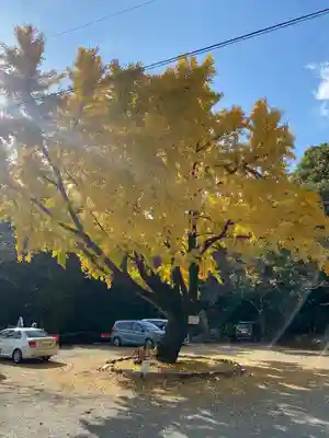 本居宣長ノ宮の自然